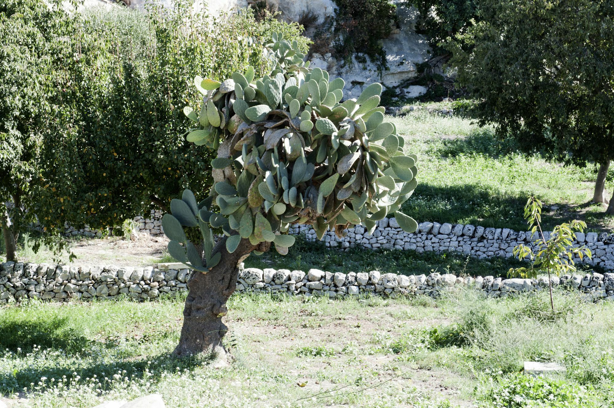 Valle Dell'Acanto Modica Exteriér fotografie